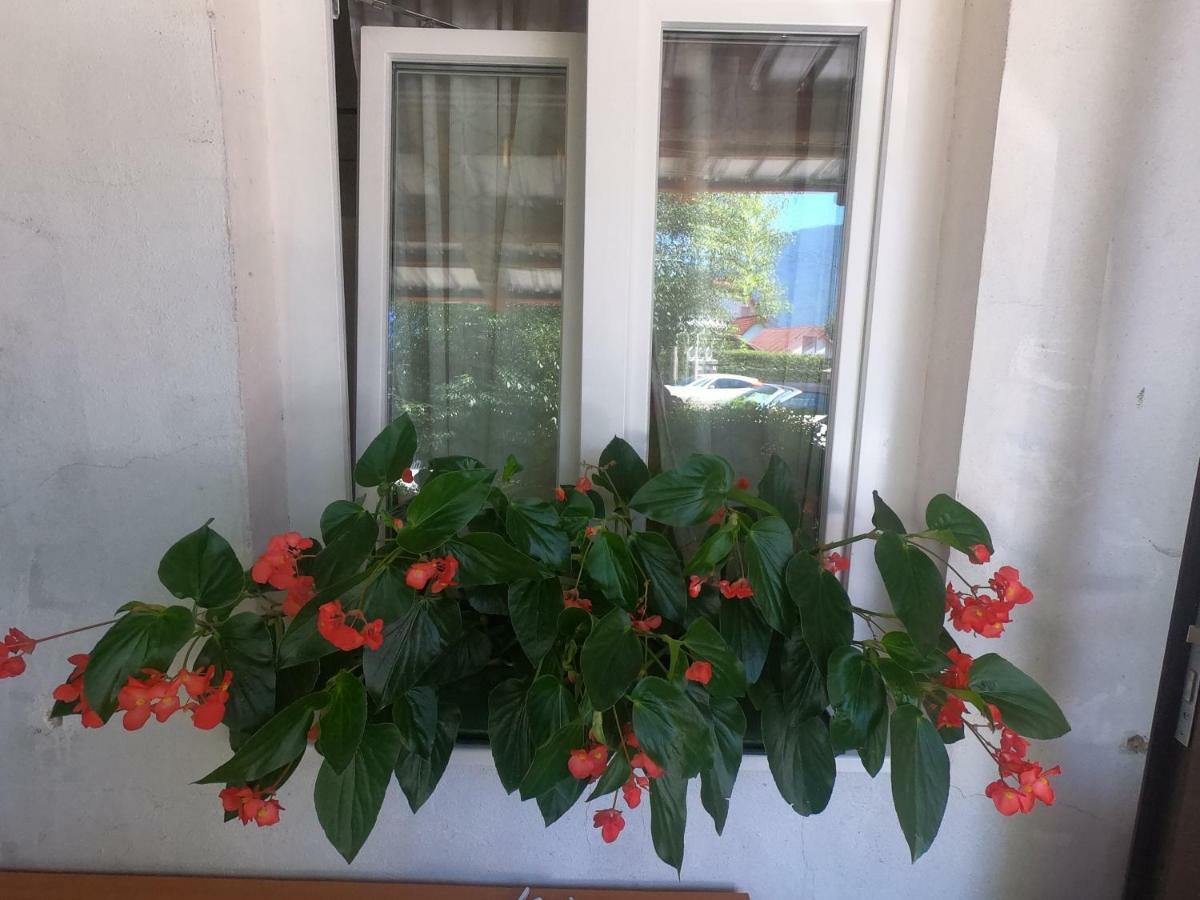Fontana Apartment โบเว็ก ภายนอก รูปภาพ